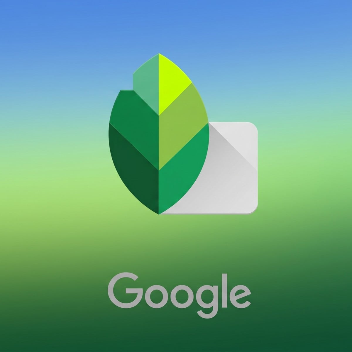 Snapseed para Android amplia suporte a arquivos RAW na versão 4.1