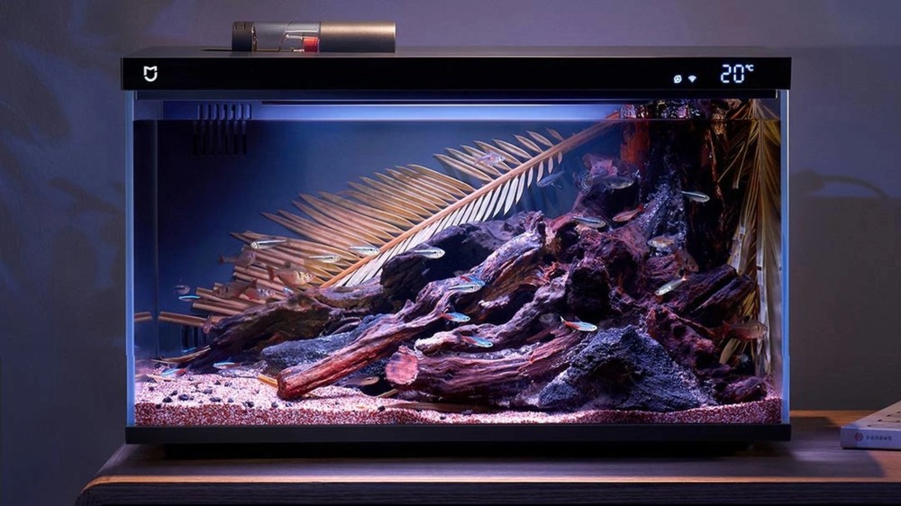 Aquário inteligente Xiaomi Mijia iluminado com LEDs em ambiente interno