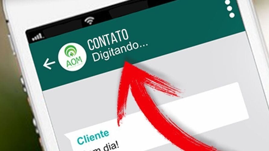 3 dicas para esconder o "digitando" no whatsapp