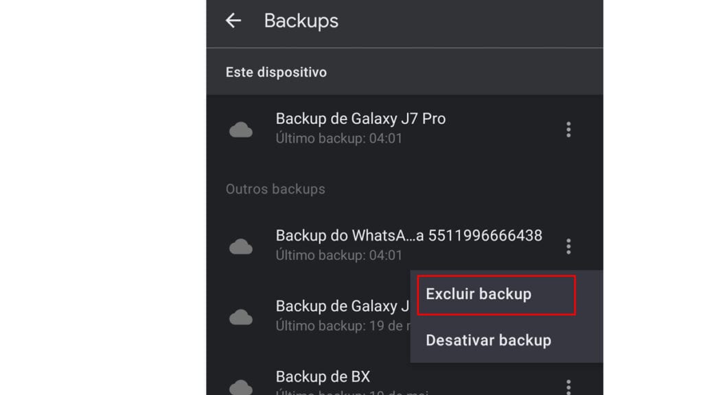 Na imagem vemos a opção de excluir backup do aplicativo