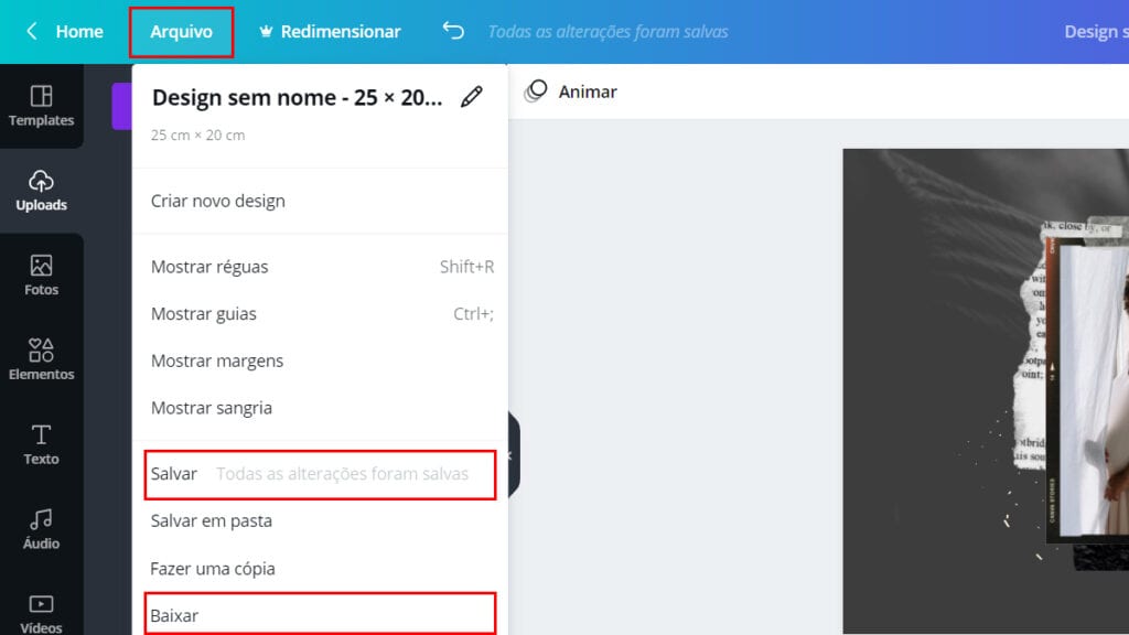 Na imagem vemos as opções que o site oferece