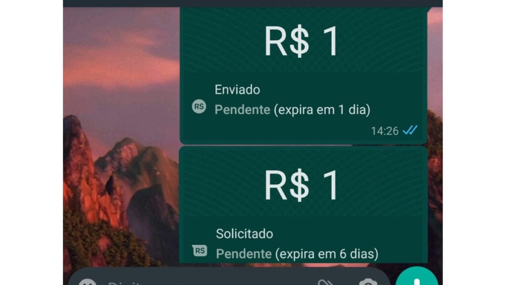 Com o novo recurso, você consegue solicitar e pagar de modo prático