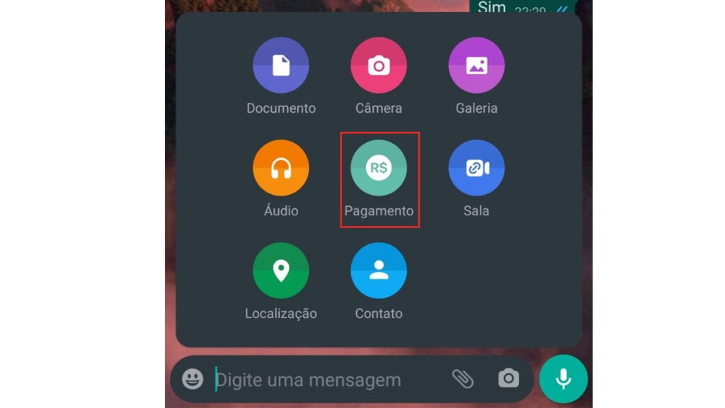 Na imagem vemos a opção pagamento que aparece no menu da conversa do whats app