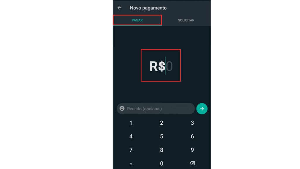Na tela vemos a opção de pagar e onde inserir o valor