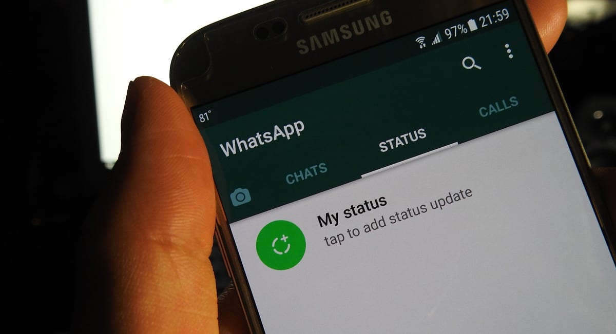 Frases para Status do WhatsApp e Instagram: melhores e como usar