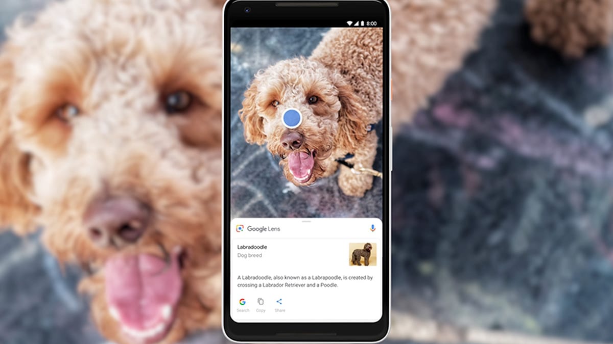Como fazer uma pesquisa por imagem no Google? [pesquisa reversa]