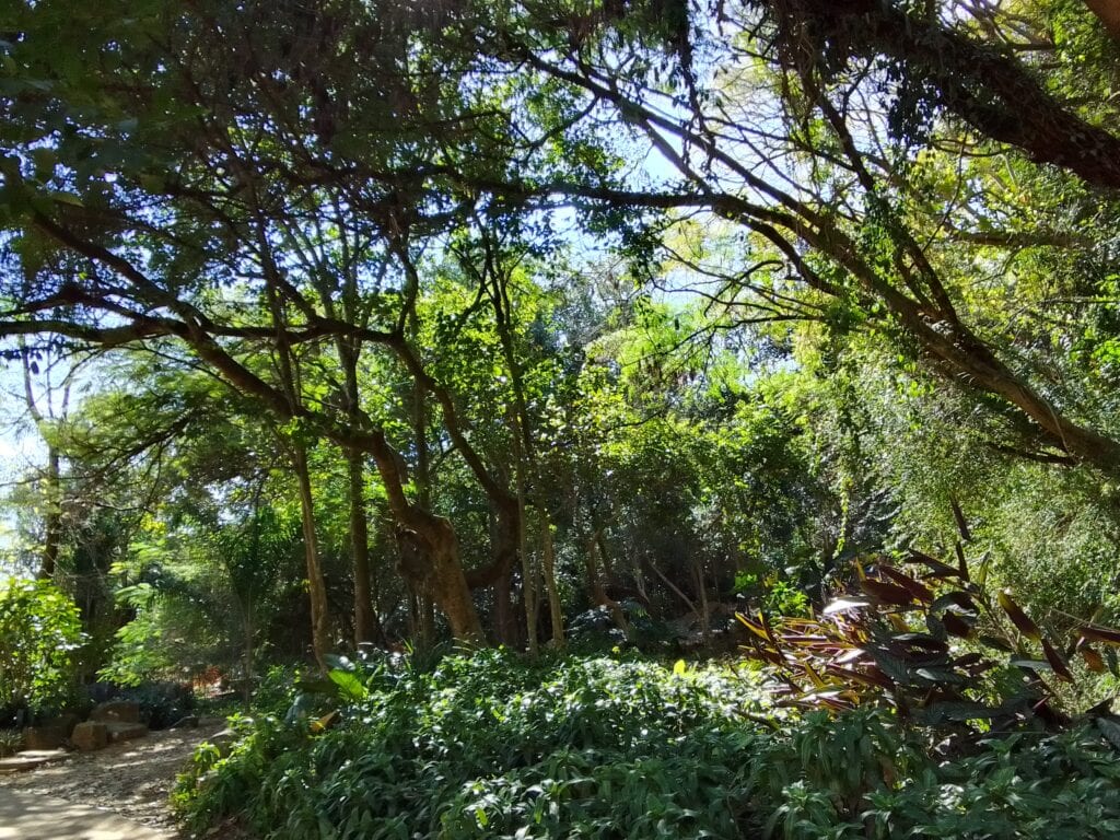 sem luz as fotos também são bonitas