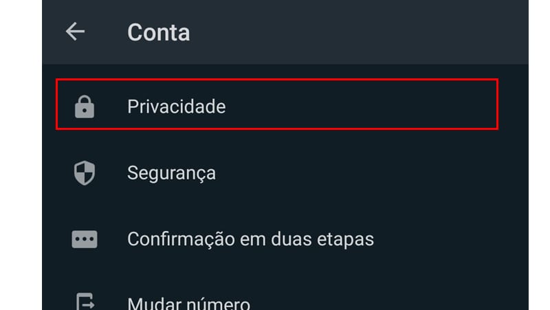 Por fim toque em privacidade