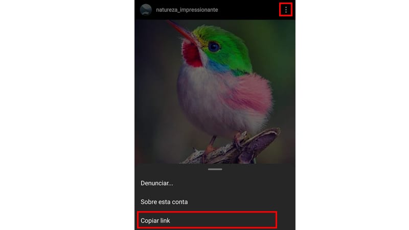 Saiba como baixar video do Instagram seguindo os passos