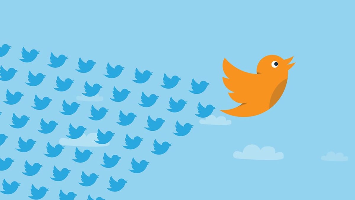 Baixar video twitter: as 4 melhores opções para você usar agora