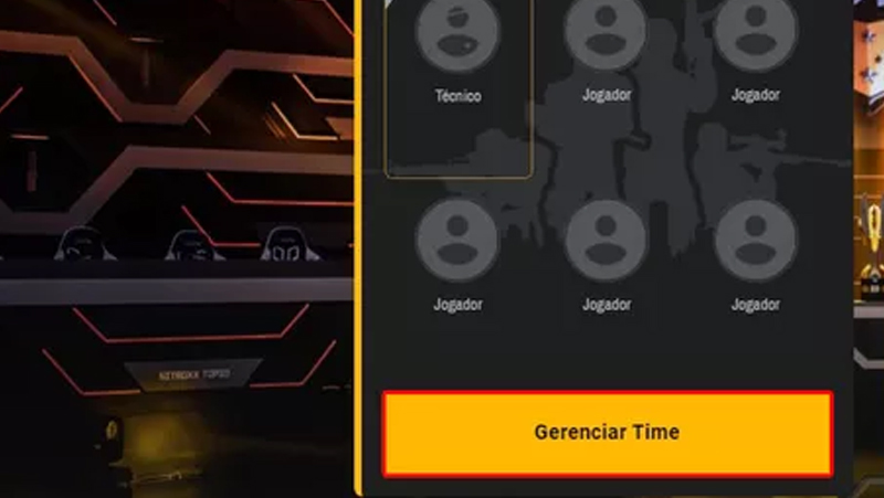 Vá em gerenciar time para mudar o time