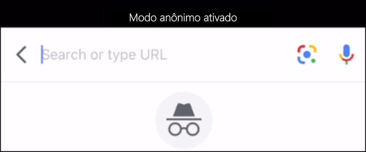 Imagem demostrando o modo anônimo ativo no Google