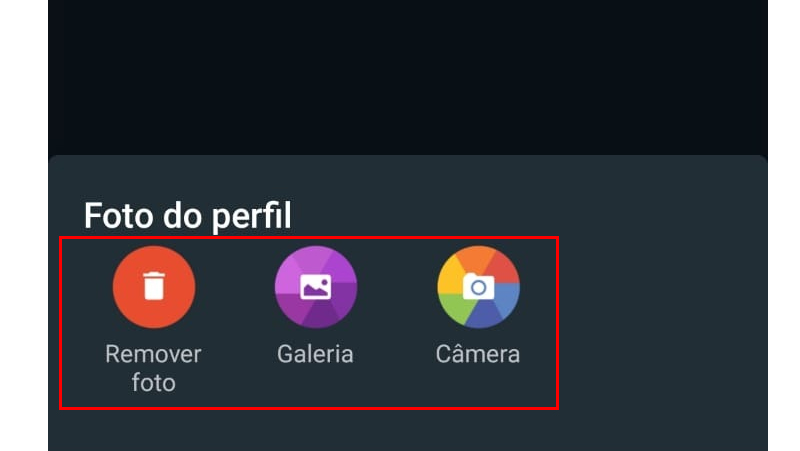as opções exibidas