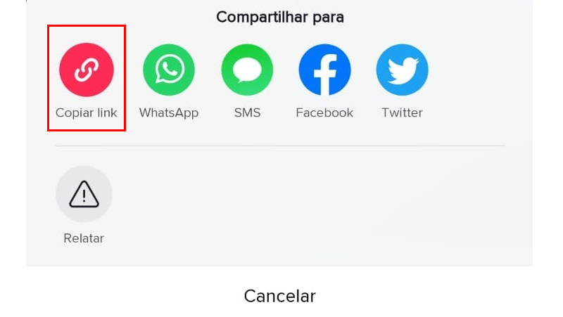 copie o link do tik tok para o snaptik
