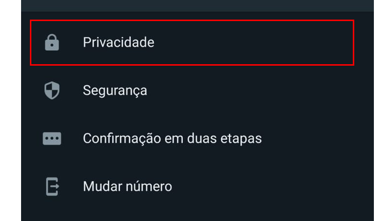 escolha a opção privacidade