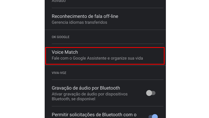 por fim vá na seção voice match