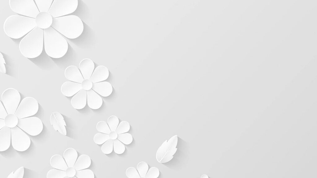 opções de background branco 13