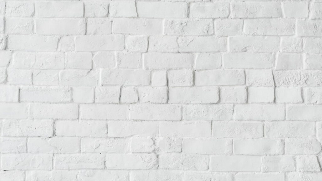 opções de background branco 14