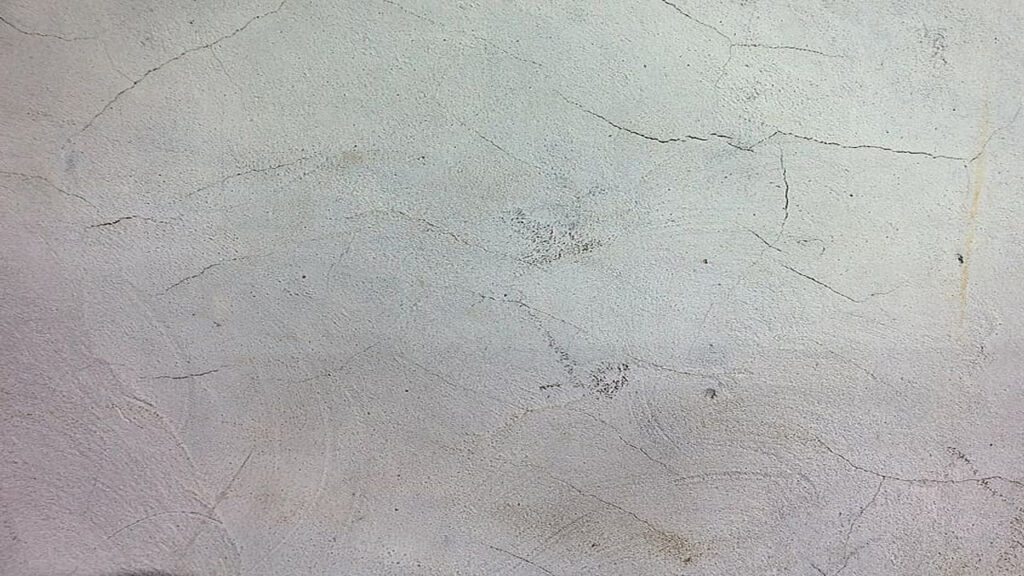opções de background branco 17