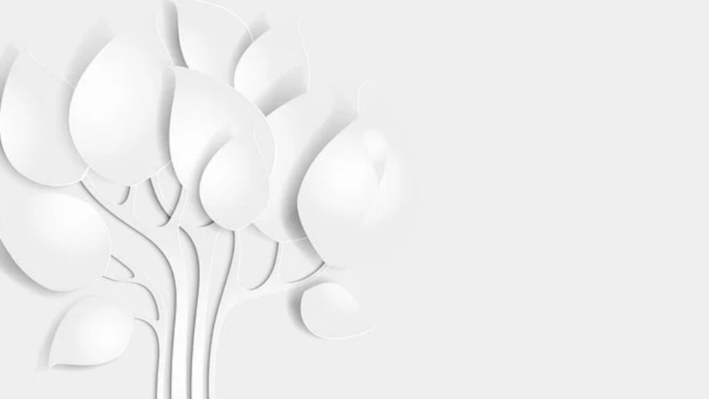 opções de background branco 20