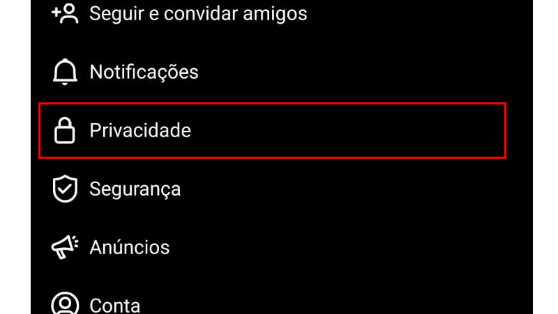 vLogo em seguida vá em Privacidade