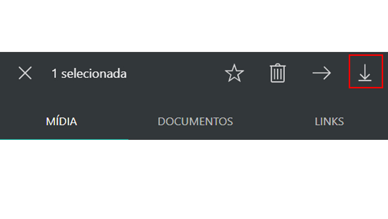 Clique no ícone para baixar os arquivos de uma vez só