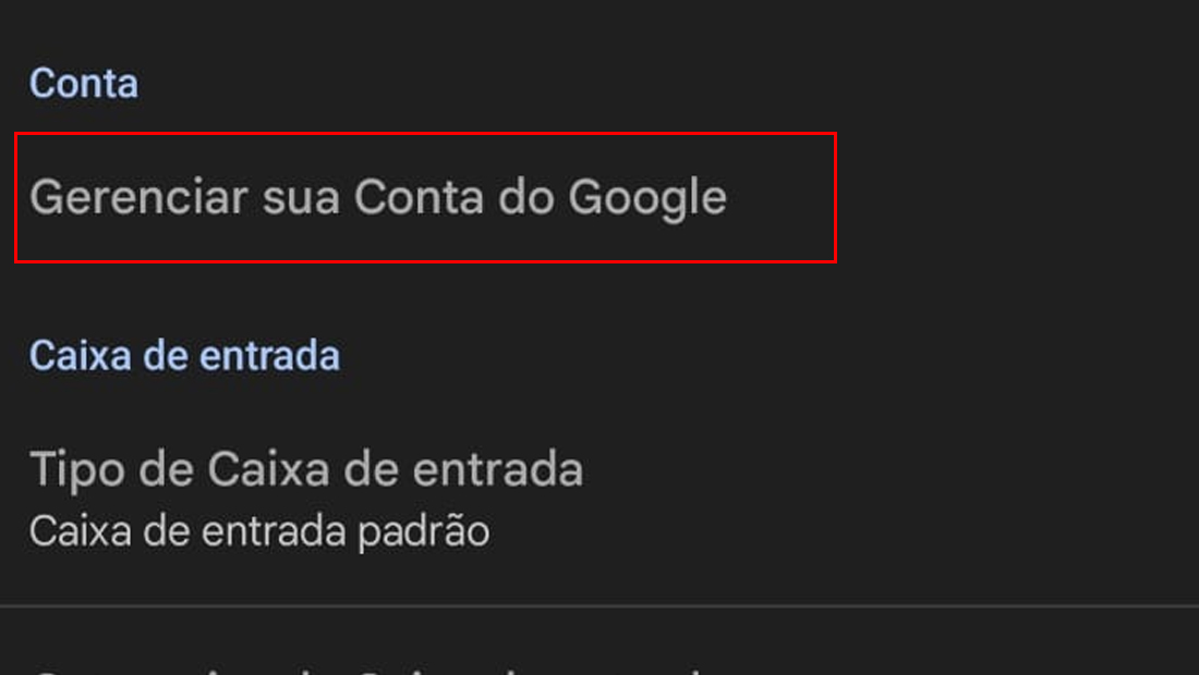 Toque sobre a opção Gerenciar sua Conta do Google