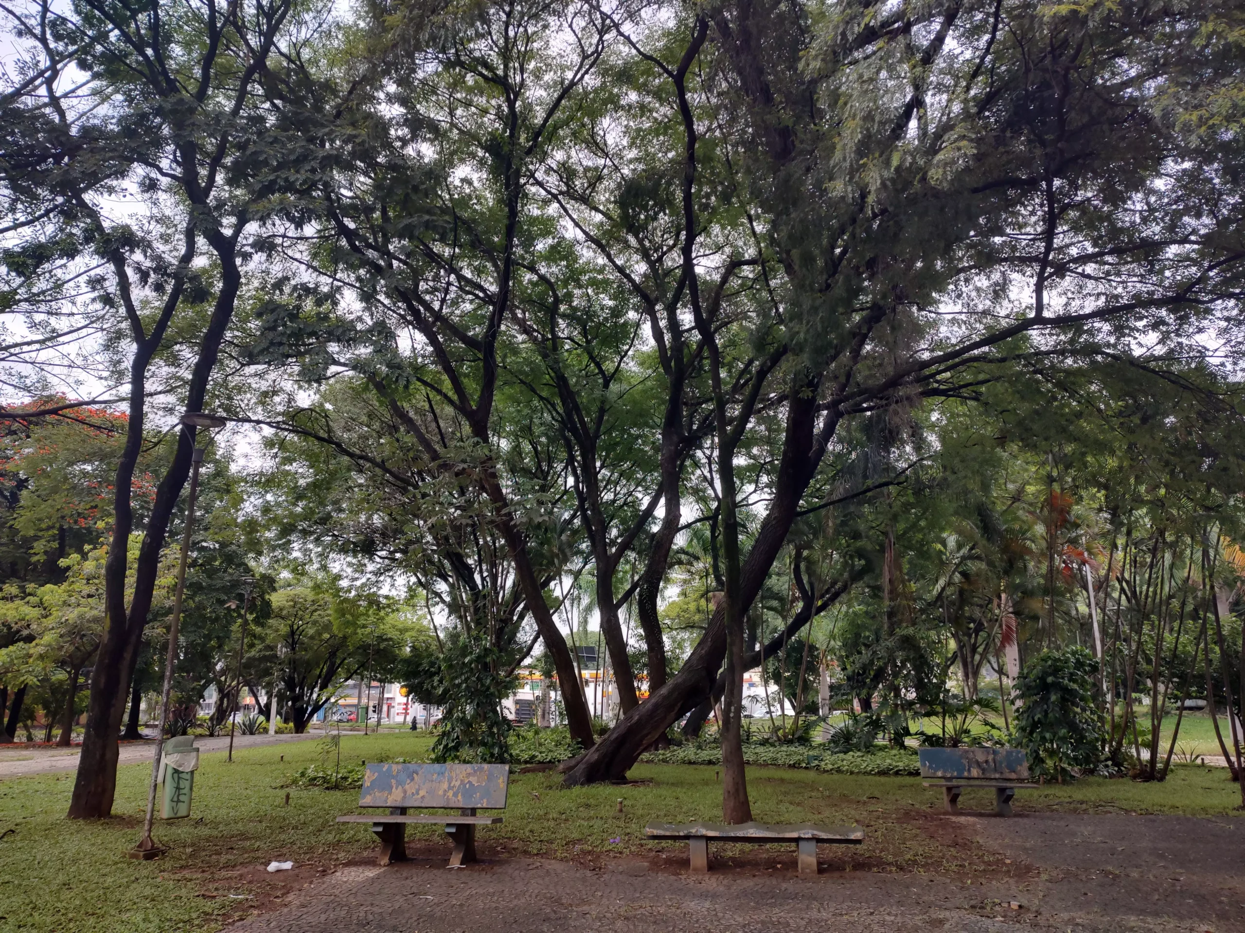 Além da qualidade das fotos a câmera possui muitos recursos (Imagem: Nalbert/Tekimobile)