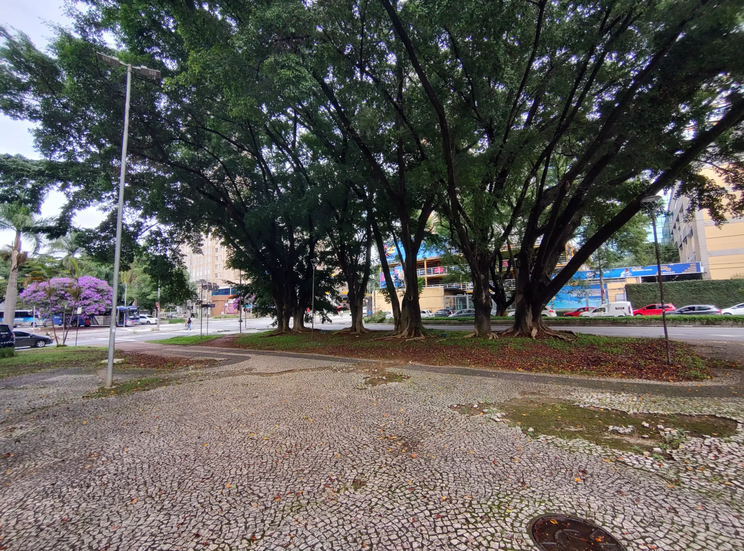 O sensor de 13 MP captura todo o ambiente com um bom balanço de cores