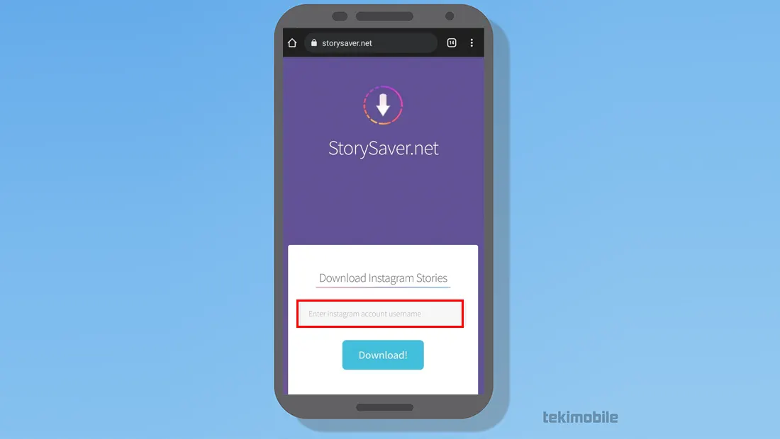 Insira o perfil do instagram no quadro para baixar stories do Instagram