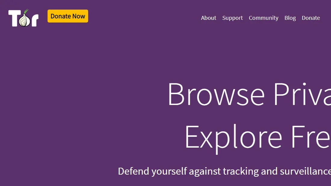 A VPN do Tor é uma boa opção