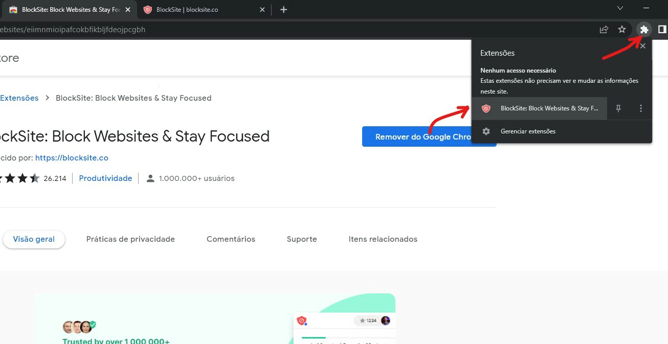 Clique sobre o ícone para acessar a sua extensão - Como bloquear sites no Google Chrome