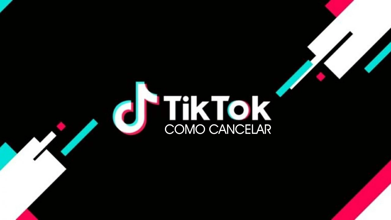 Como excluir conta do TikTok
