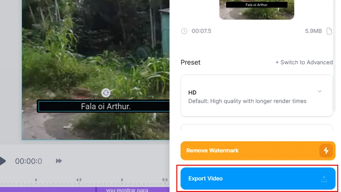Por fim vá em Export Video