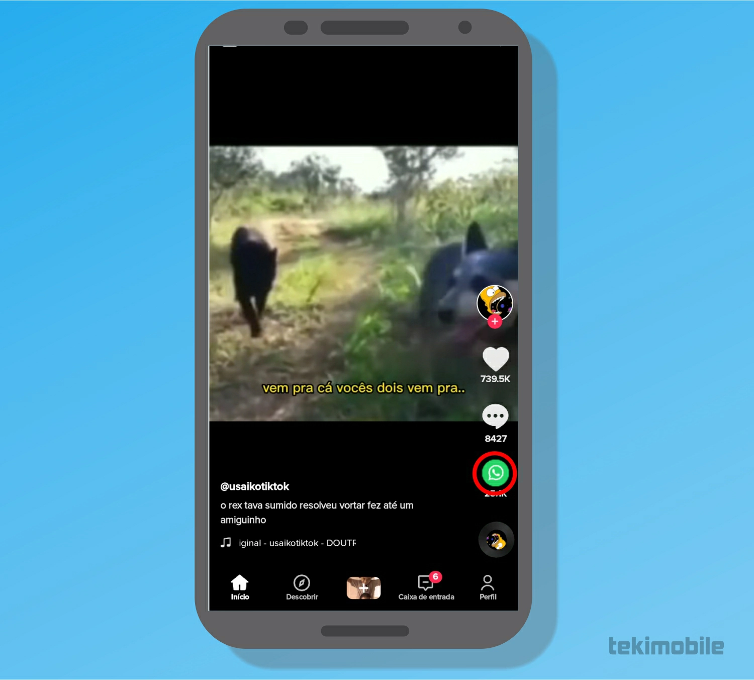 Toque sobre o botão compartilhar - Como fazer dueto no TikTok