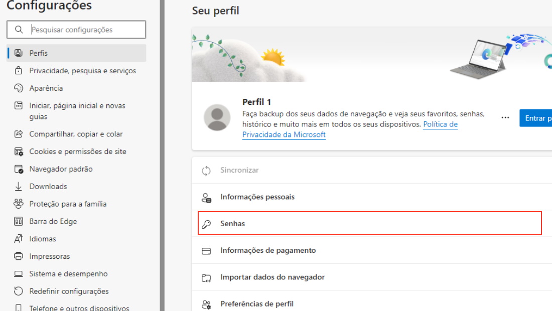 A aba de senhas fica logo abaixo na página
