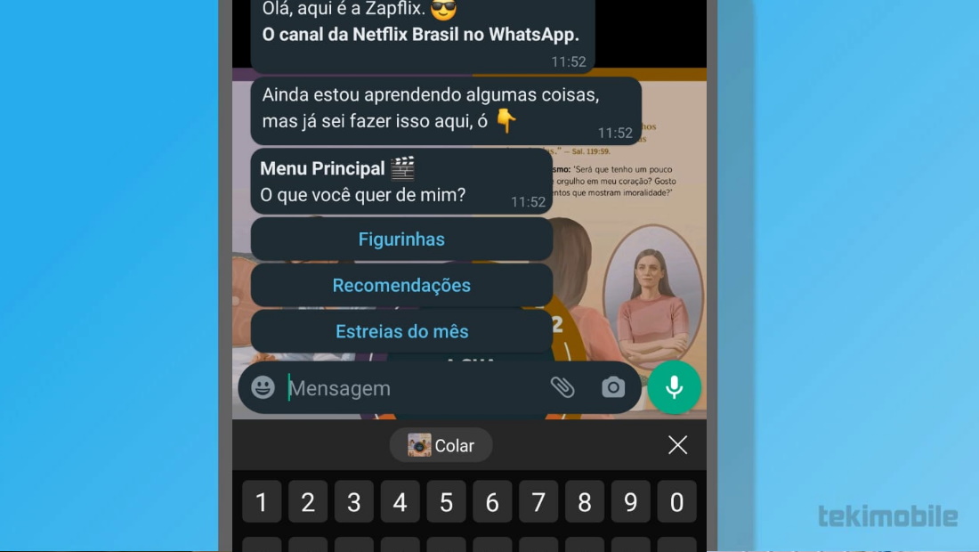 Além de figurinhas você pode se atualizar com o Zapflix