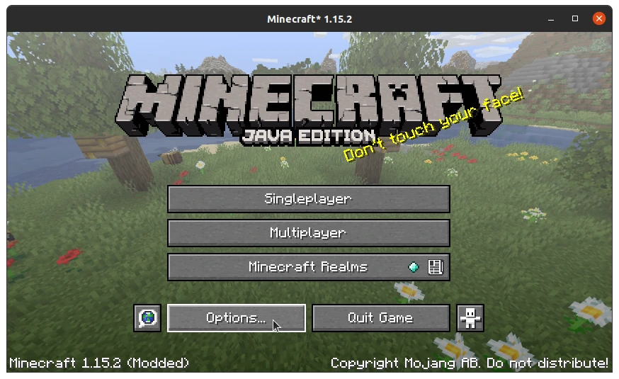 Clique em Options - Como colocar textura no Minecraft