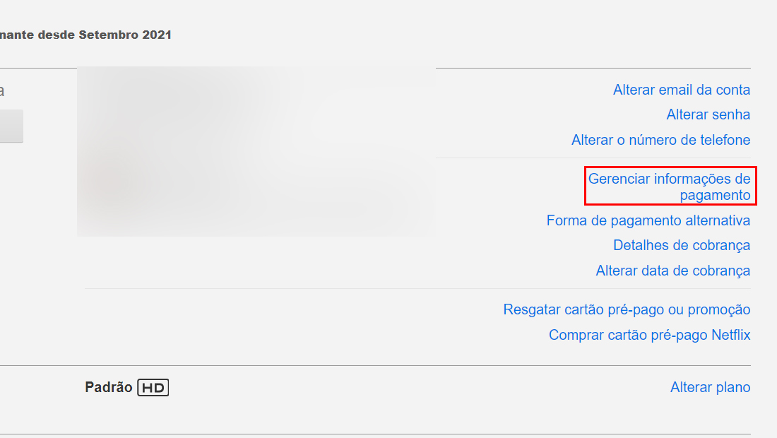 Em alguns casos a Netflix solicita senha nessa etapa