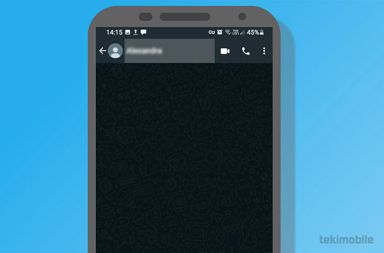 Toque no nome do contato - Como ver os números bloqueados no WhatsApp