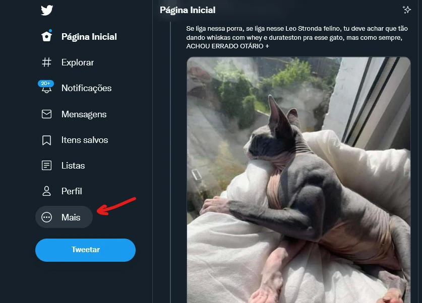 clique em mais - Como trancar o Twitter