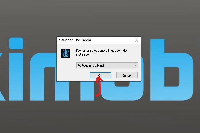 Clique em OK- como baixar e instalar o second life