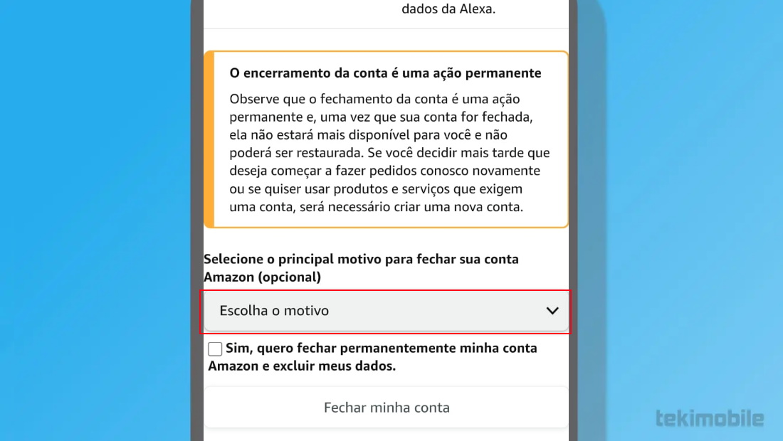 Escolha um motivo na aba exibida