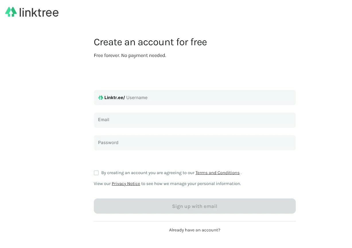 Insira as informações - Como fazer um Linktree passo a passo