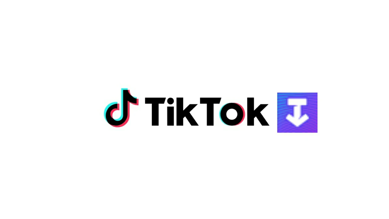 SssTiktok: como baixar vídeos do TikTok com ele