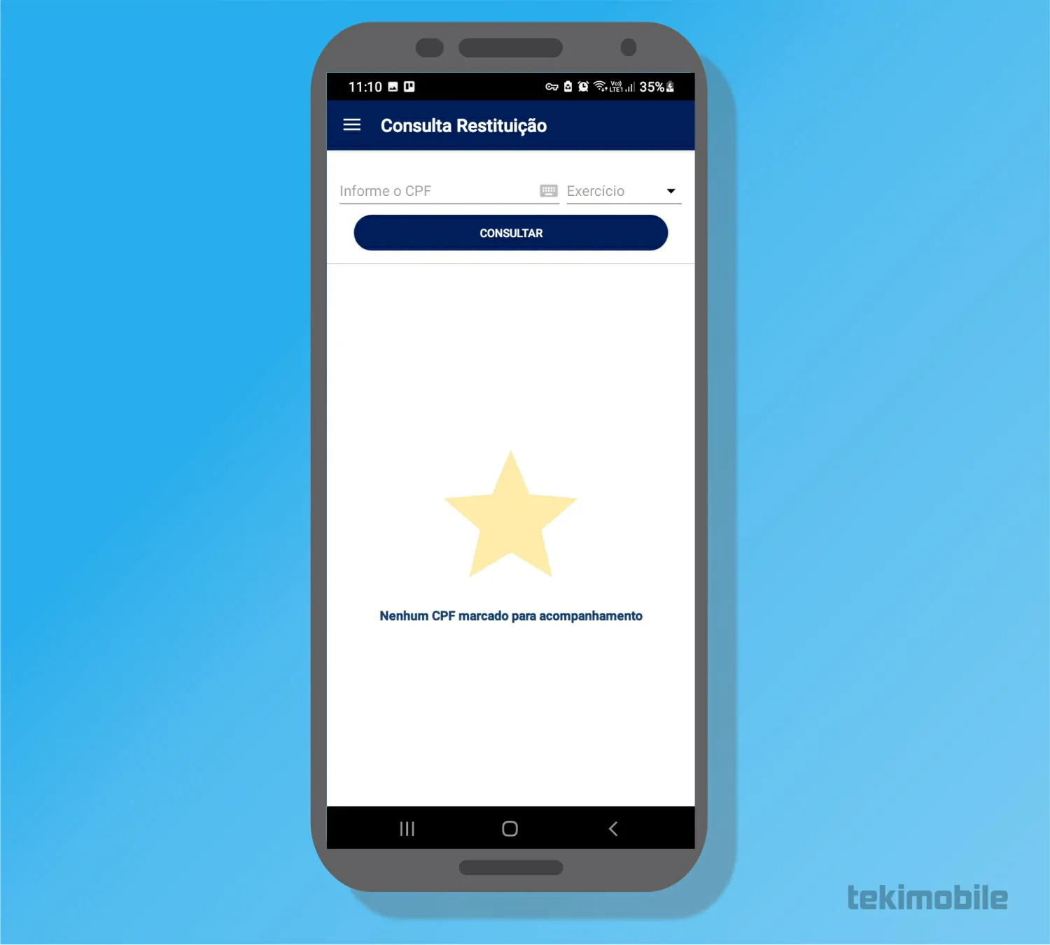 Insira seus dados - Como consultar restituição do Imposto de renda [celular e PC]