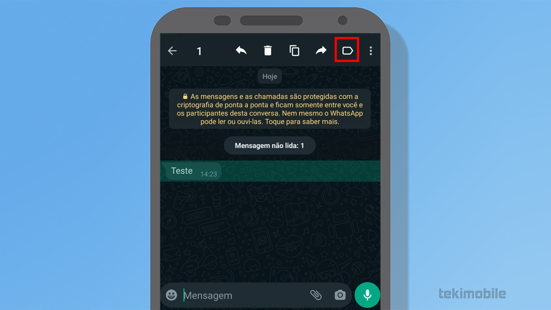 Selecione a mensagem e toque no ícone facilmente