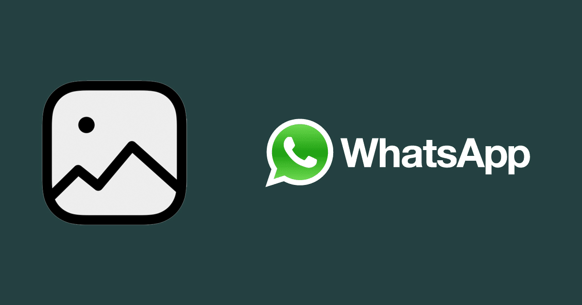 Como salvar fotos do WhatsApp na galeria facilmente