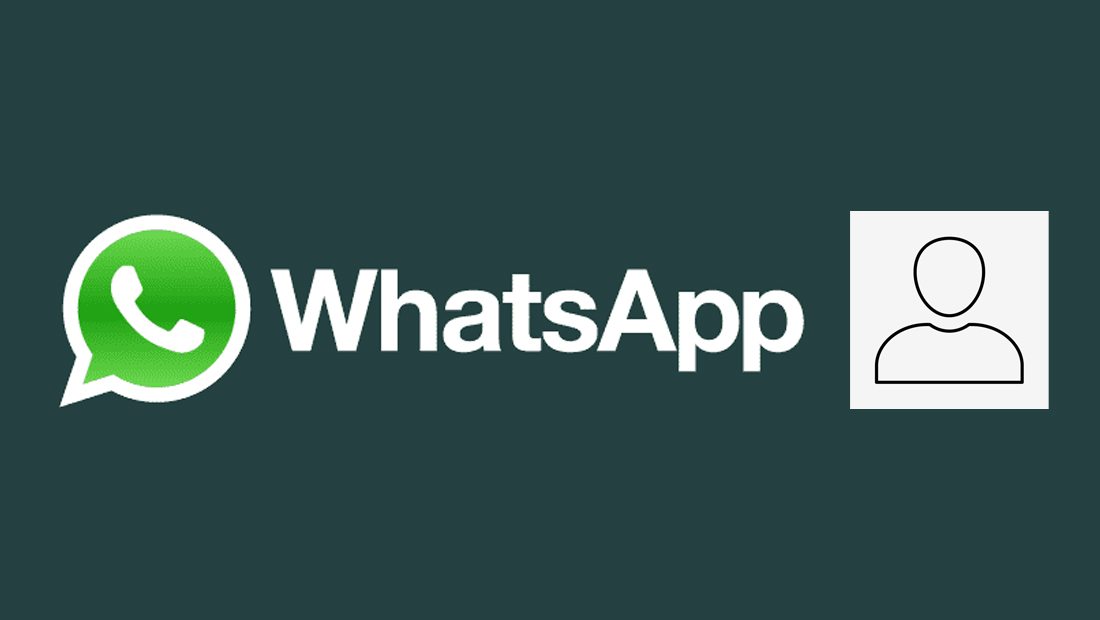 Como colocar a foto inteira no perfil do WhatsApp