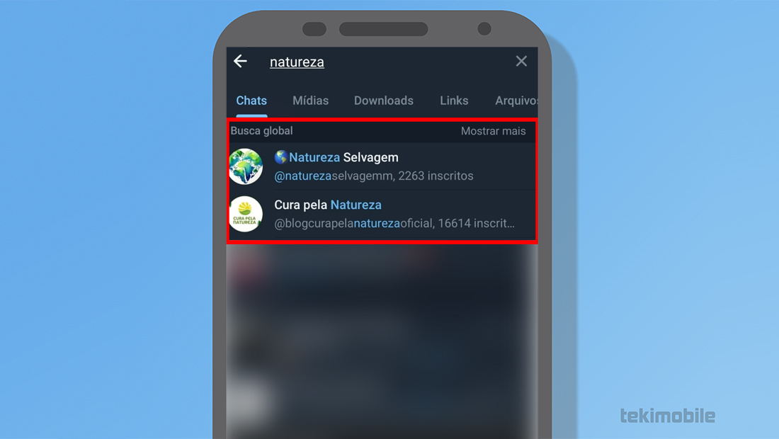 A Busca Global é mostrada na aba acima